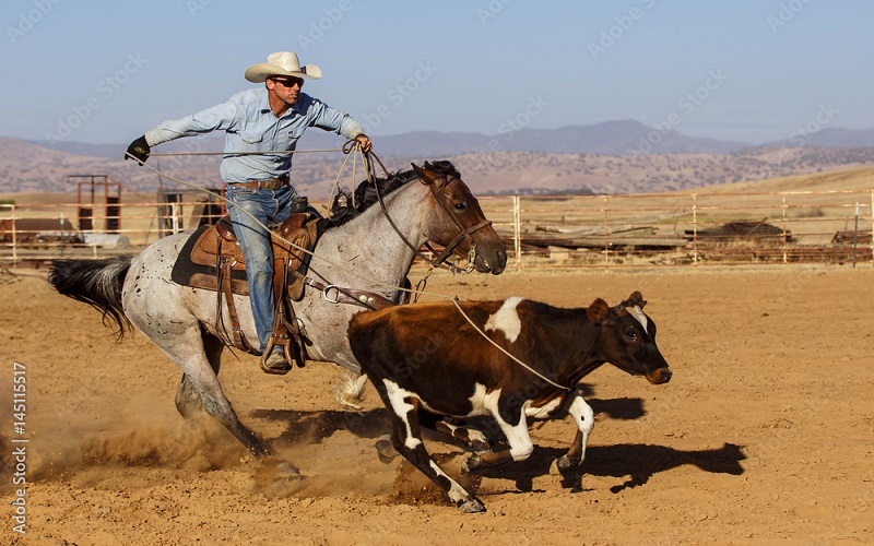  Ranch Cowboy School - Habibi World Travel & Tour America